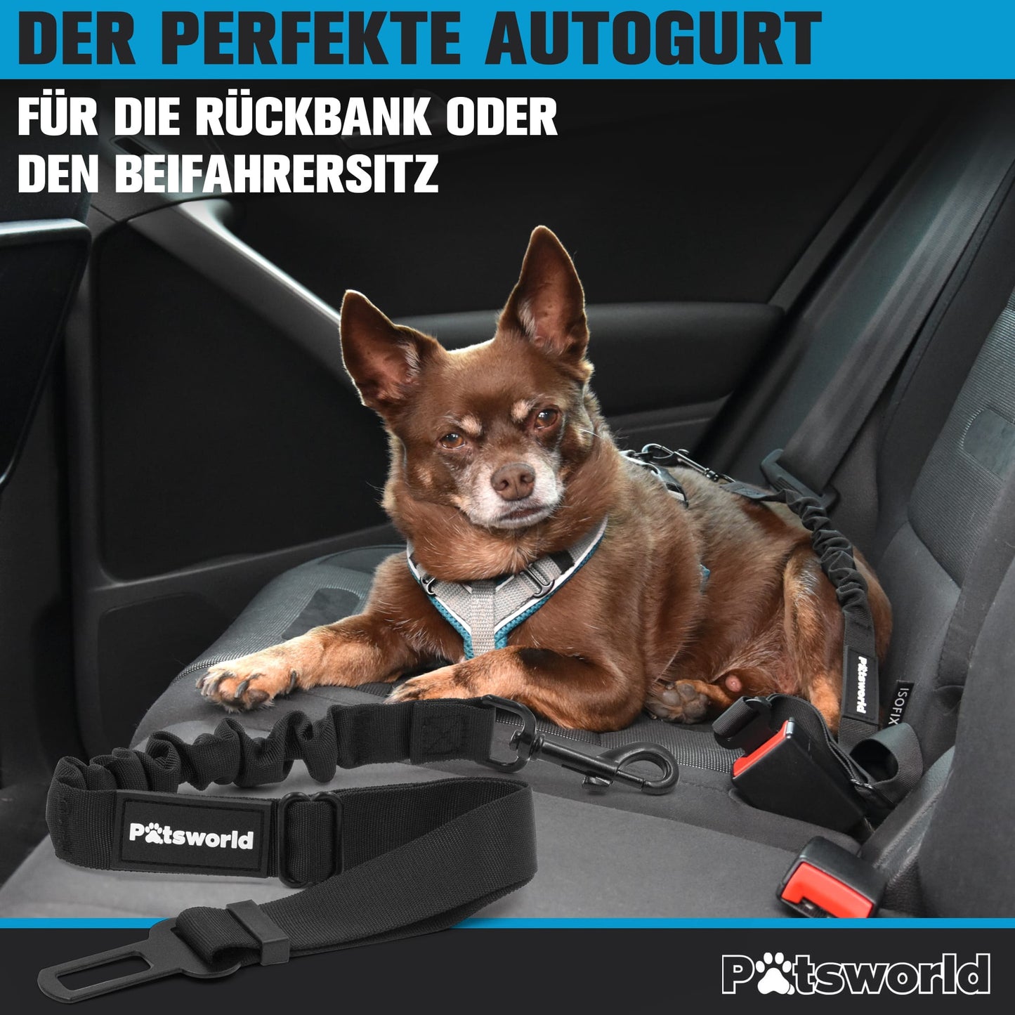 Hundegurt fürs Auto - Verstellbarer mit Rückdämpfung